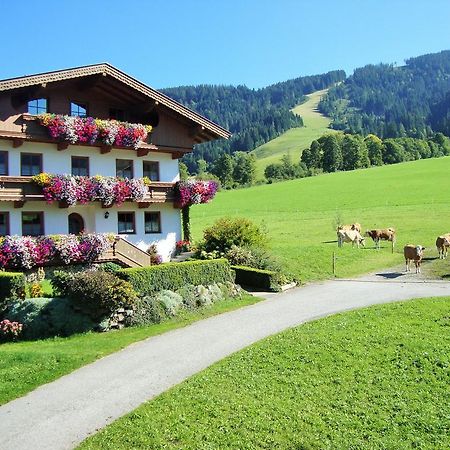 Sixenhof Apartment Niederau Luaran gambar