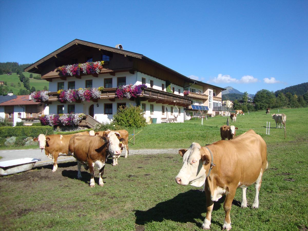 Sixenhof Apartment Niederau Luaran gambar