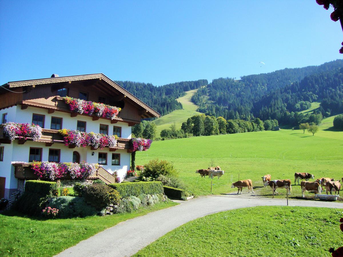 Sixenhof Apartment Niederau Luaran gambar